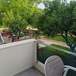 Golden 4* קסאמיל